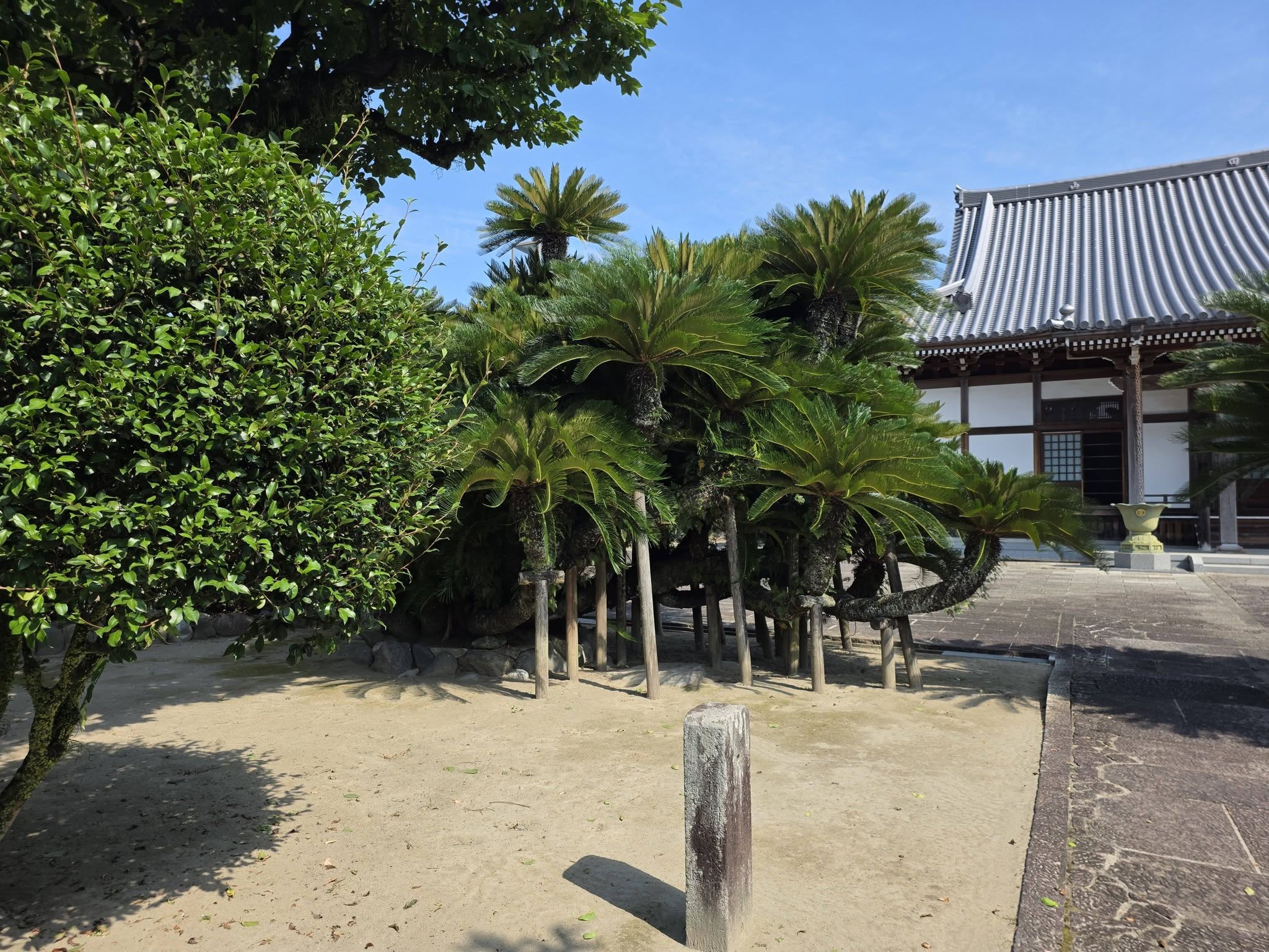 増参寺の現地写真（18）