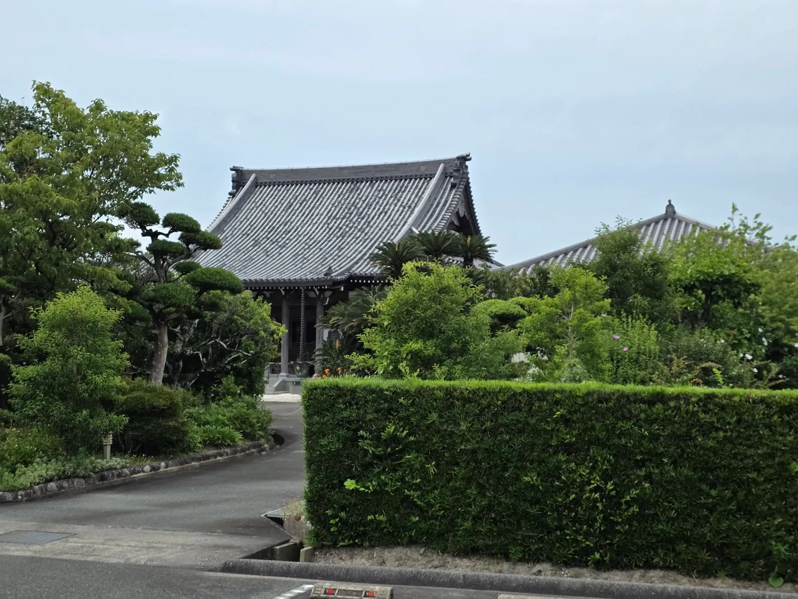 木々に囲まれた本堂の遠景