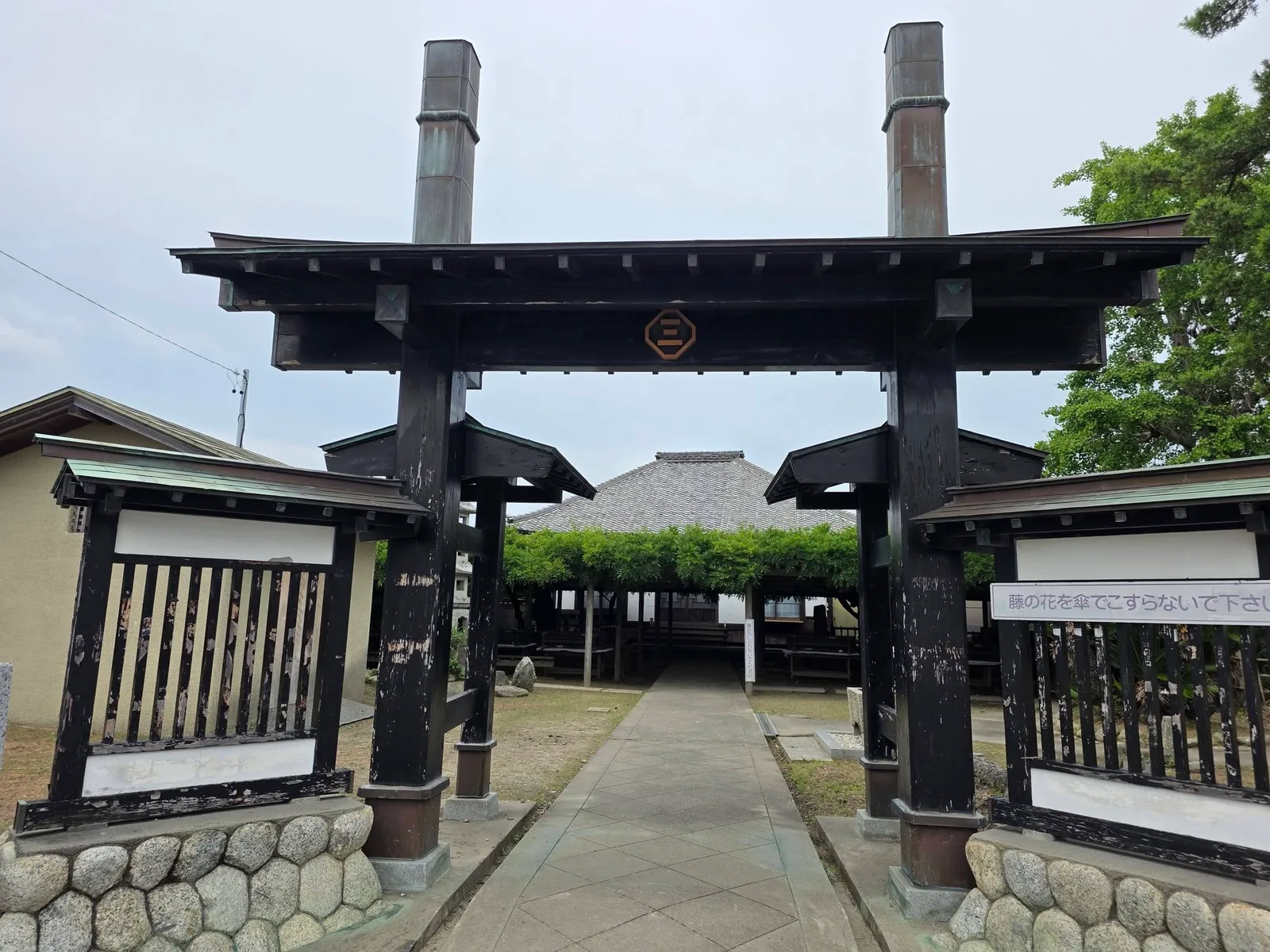 藤棚越しに望む行興寺本堂