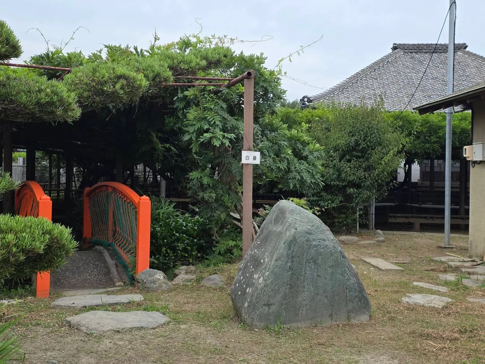 行興寺境内の白藤棚と橋