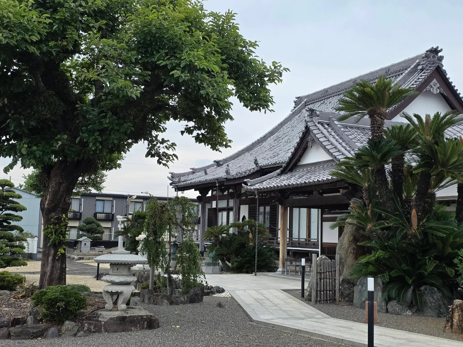 境内の木々越しに見る本堂