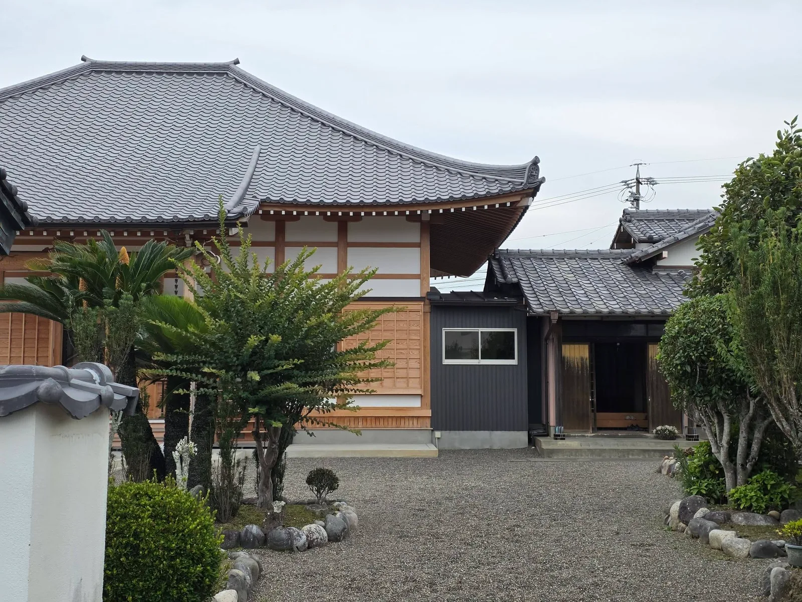 境内の庭木越しに見る本堂全景